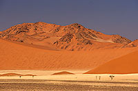 Red sand dunes, Sossusvlei, Namibia - Dunes, desert du Namib 14300 Red sand dunes, Sossusvlei, Namibia - Dunes, desert du Namib 14300