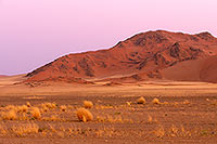 Red sand dunes, Sossusvlei, Namibia - Dunes, desert du Namib 14301
