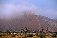 Red sand dunes, Sossusvlei, Namibia - Dunes, desert du Namib 14305