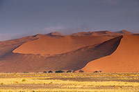 Red sand dunes, Sossusvlei, Namibia - Dunes, desert du Namib 14309