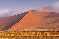 Red sand dunes, Sossusvlei, Namibia - Dunes, desert du Namib 14317