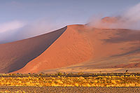 Red sand dunes, Sossusvlei, Namibia - Dunes, desert du Namib 14317 Red sand dunes, Sossusvlei, Namibia - Dunes, desert du Namib 14317