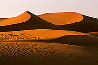 Red sand dunes, Sossusvlei, Namibia - Dunes, desert du Namib 14318