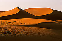 Red sand dunes, Sossusvlei, Namibia - Dunes, desert du Namib 14318 Red sand dunes, Sossusvlei, Namibia - Dunes, desert du Namib 14318