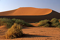 Red sand dunes, Sossusvlei, Namibia - Dunes, desert du Namib 14321