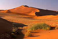 Red sand dunes, Sossusvlei, Namibia - Dunes, desert du Namib 14329