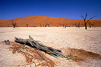 Deadvlei, Dunes and dead trees, Namibia - Deadvlei, desert du Namib - 14357