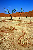 Deadvlei, Dunes and dead trees, Namibia - Deadvlei, desert du Namib - 14359