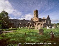 Timoleague Abbey, Timoleague, Ireland - Abbaye de Timoleague 15226