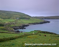 Beara peninsula, Ireland - Beara peninsula, Irlande  15394