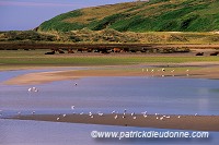 Barley Cove, near Dough, Mizen peninsula, Ireland - Mizen peninsula  15479