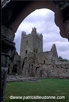 Jerpoint Abbey, Co Kilkenny, Ireland - Abbaye de Jerpoint, Irlande  15263