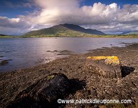 Fertha estuary and Knocknadobar, Ireland - Estuaire de la Fertha, Irlande  15437