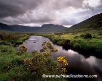 River Caragh, Kerry, Ireland - Rivière Caragh, Kerry, Irlande  15440