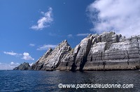 Little Skellig reserve, Kerry, Ireland - Reserve de little Skellig, Irlande  15294