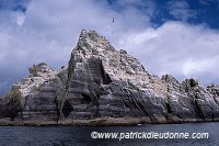 Little Skellig reserve, Kerry, Ireland - Reserve de little Skellig, Irlande  15299