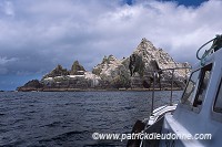 Little Skellig reserve, Kerry, Ireland - Reserve de little Skellig, Irlande  15301