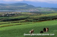 Valentia island, Kerry, Ireland - Valentia island, Irlande   15532