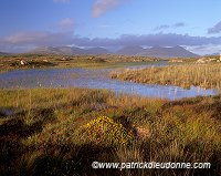 Twelve Pins, Connemara, Ireland - Les 12 monts, Connemara, Irlande  15418