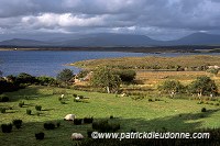 Corraun peninsula, near Achill Island, Ireland - Corraun peninsula, Irlande  15466
