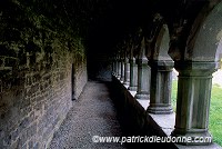 Moyne Abbey, Mayo, Ireland - Abbaye de Moyne, Irlande  15271