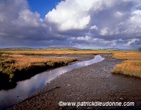 Flats in Gweebarra bay, Ireland -  Marais, baie de Gweebarra, Irlande  15378