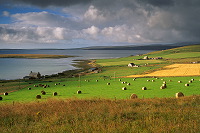 Fields at Houton, Orkney, Scotland -  Houton, Orcades, Ecosse  15577