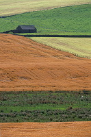 Fields at Kirbister, Orkney, Scotland -  Champs à Kirbister, Orcades, Ecosse  15581