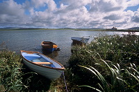 Loch of Stenness, Orkney, Scotland - Lac de Stenness, Orcades, Ecosse  15598