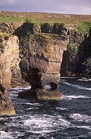 Yesnaby Castle, Orkney, Scotland - Yesnaby castle, Orcades, Ecosse  15603