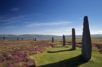 Ring of Brodgar, Orkney, Scotland -  Ring of Brodgar, Orcades, Ecosse  15680