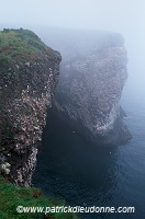 Fowlsheugh bird reserve, Scotland -  Fowlsheug, Ecosse - 18817