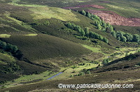 Valley, Grampians, Scotland - Grampians, Ecosse - 18839 Valley, Grampians, Scotland - Grampians, Ecosse - 18839