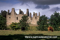 Castle, Aberdeenshire, Scotland - Ecosse - 19128