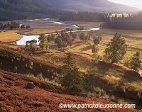 Dee valley, Aberdeenshire, Scotland - Rivière Dee, Aberdeenshire  15837