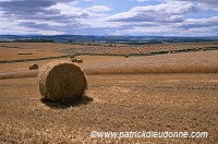 Harvested Crops, Borders, Scotland - Borders, Ecosse - 15991