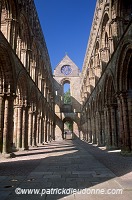 Jedburgh Abbey, Borders, Scotland - Jedburgh, Ecosse - 19153