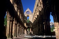 Jedburgh Abbey, Borders,  Scotland - Jedburgh, Ecosse - 19154