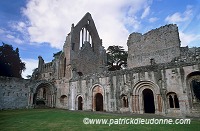 Dryburgh Abbey, Borders, Scotland -  Dryburgh, Ecosse -  19191