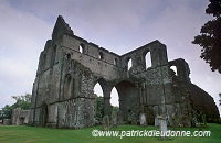 Dundrennan Abbey, Galloway, Scotland - Ecosse - 19209