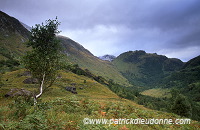 Glen Nevis, Highlands, Scotland - Glen Nevis, Ecosse - 16246