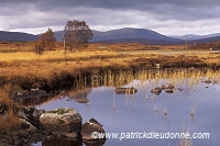 Rannoch Moor, Highlands, Scotland - Rannoch Moor, Ecosse - 16259