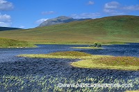 Loch Meadie, Sutherland, Scotland -  Ecosse - 18844