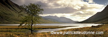 Loch etive, Highlands, Scotland - Loch Etive, Ecosse - 15826