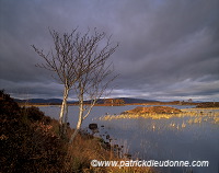 Rannoch moor, Highlands, Scotland - Rannoch moor, Ecosse - 15833