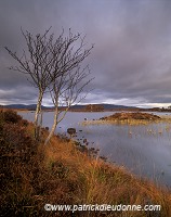Rannoch moor, Highlands, Scotland - Rannoch moor, Ecosse - 15834