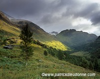 Glen Nevis, Highlands, Scotland - Glen Nevis, Ecosse - 15844