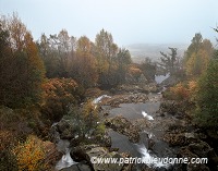 River in autumn, Highlands, Scotland - Rivière en automne, Highlands, Ecosse  15845