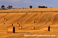 Harvested crops, Perthshire, Scotland -  Ecosse - 15998