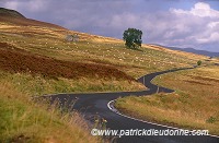 Winding road, Perthshire, Scotland - Perthshire, Ecosse - 16024